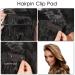 12 Pieces Hair Base Sponge & Clip Combo for Voluminous Hair - Black, Coffee, Dark Brown - Buy Online on GoSupps.com