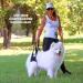 Nature PET Carrier Aid for Dogs - XL Black Stair & Lift Strap for Older/Sick Dogs | Dog Carrying Support - Buy Online on GoSupps.com