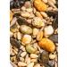 KoRo - Salad seed mix - 1 kg - varied mix with edamame beans and pine nuts - rich in unsaturated fatty acids - protein source - bulk packaging at a great price - Buy Online on GoSupps.com