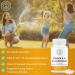 2nd Springs Adaptogen Complex & Vitamin D3+K2 Chewables Bundle - Buy Online on GoSupps.com