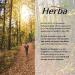 Herba Benfotiamine B1 Vitamin - 120 Capsules | 100mg of High Dose Vitamin B1 Supplement | Highly Bioavailable - Fat Soluble Vitamin B 1 | Better Absorption than Thiamine B1 Supplement | Made in Canada - Buy Online on GoSupps.com