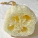 2-Pack Natural Loofah Exfoliating Bath Brush - Long Handle Body Sponge Scrubber for Men & Women - Buy Online on GoSupps.com