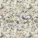 Kaytee Clean & Cozy Lavender Small Animal Bedding - 24.6L | Eco-Friendly & Odor-Control - Buy Online on GoSupps.com