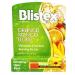 Blistex Orange Mango Blast Lip Balm with Vitamins C & E Moisturizes & Comforts 0.15 OZ - 2 Pack - Buy Online on GoSupps.com