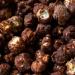 Popcorn Shed Pop N Choc Gourmet Chocolate Caramel Flavoured Popcorn with Milk Chocolate Gift - 80g (Pack of 1) - Buy Online on GoSupps.com