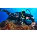 TUSA SF-0101 Hyflex Vesna Scuba Diving Fins - Black (Medium) - Buy Online on GoSupps.com
