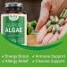 Organic Spirulina & Chlorella Vegan Capsules: Blue Green Algae Powder Supplement for Energy, Immune System & Gut Health - Non-GMO - Buy Online on GoSupps.com