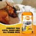 Pet Urine Odour Eliminator & Neutraliser - Natural Cold Pressed Orange Oil Enzyme Cleaner - Makes 4 Litres - Cleans Dog & Cat Smells Carpet Bins Litter Trays - Pet Deodoriser & Repellent - Buy Online on GoSupps.com