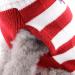 Shop Stylish Christmas Dog Costumes & Winter Sweaters - Abrrlo Pet Fashion (XS Kitz C1) - Buy Online on GoSupps.com