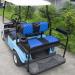NOKINS Golf Cart Armrest & Cup Holder - Stainless Steel Support - No Drilling Needed - Black - Buy Online on GoSupps.com
