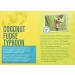 Single Cup Coconut Fudge Typhoon Coffee 24 Count - Buy Online on GoSupps.com