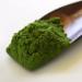 Ceremonial Grade Japanese Matcha Green Tea Powder - 100g Caddy (Pack of 1) - Buy Online on GoSupps.com
