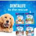 DentaLife Daily Oral Care Dog Treats for Large Breed Dogs - 587 g Pouch (1 Pack) 587 g (Pack of 1) - Buy Online on GoSupps.com