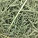 Oxbow Western Timothy Hay â€“ Natural Fiber for Rabbits, Guinea Pigs, Chinchillas & Hamsters - Buy Online on GoSupps.com