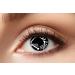 Eyecatcher 84080441-938 - Colored contact lenses 1 pair for 12 months white black carnival Mardi Gras Halloween skeleton