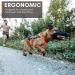 Non-stop dogwear FREEMOTION Harness 5.0 | Blue/Grey | Sport Dog Harness | Size 9 | International Shipping Available - Buy Online on GoSupps.com