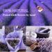 9 Bags Natural Dried Flowers Herbs Kit for DIY Soap & Candle Making - Rose, Lavender, Jasmine, Lilium & More - Buy Online on GoSupps.com
