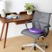 Gypsy Quilter Sit Upon with Pump Notions in Purple - Comfortable and Convenient - Buy Online on GoSupps.com