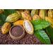 Organic Cacao Nibs 8oz - Unsweetened Raw Vegan Sirtfood - Non-GMO Kosher Bulk Cacao Nibs - Buy Online on GoSupps.com