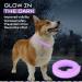 Dog Repellent Treatment Dog Repellent Collars Adjustable Small-Medium-Large Dog Repellent Collar Natural Repellent Collar for Dogs Waterproof Reflective Dog Repellent (Single Pack Purple) Single Pack Dog Purple - Buy Online on GoSupps.com