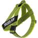 Julius-K9 Belt Harness L/1 Neon-Grey | Durable Color & Gray Dog Harness for International Shipping - Buy Online on GoSupps.com