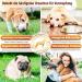 GastroBalance Relief for Constipation in Dogs 60 Soft Chews | Natural Laxative with 100% Active Ingredients Fast International Shipping - Buy Online on GoSupps.com