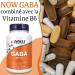 Now Foods GABA 500 mg 100 Vegetable Capsules Laboratory Tested Vitamin B6 Gluten Free Soy Free Vegetarian - Buy Online on GoSupps.com