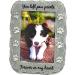 NewLifeLandia Pet Memorial Picture Frame Keepsake for Dog or Cat  Perfect Loss of Pet Gift for Remembrance and Healing Grey - Buy Online on GoSupps.com