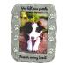 NewLifeLandia Pet Memorial Picture Frame Keepsake for Dog or Cat, Perfect Loss of Pet Gift for Remembrance and Healing Grey