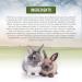 Living World Green Botanicals Juvenile Rabbit Food 1.36 kg (3 lb) - Buy Online on GoSupps.com