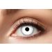 Eyecatcher 84063141-596 - Colored contact lenses 1 pair for 12 months white Halloween carnival Mardi Gras white zombie
