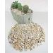 Landare Yellow Pebble Stones 1.8kg | Decorative Gravel for Vases & Gardens (8-12mm) - Buy Online on GoSupps.com
