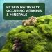 SMARTERNUTRITION Sea Moss Multimineral with Irish Sea Moss with Ashwagandha Bladderwrack Turmeric Zinc Vitamin C Elderberry Dandelion - Non-GMO USA Manufactured - 180 Capsules 90 Day Supply  - Buy Online on GoSupps.com