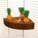 Rosewood 19260 Carrot Toy 'n' Treat Holder for Small Animals - Transparent Single - Buy Online on GoSupps.com