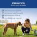 Schwenner-Short Dried Beef Head for Dogs - 500g Dental Snacks | Premium Pet Food & Treats - Buy Online on GoSupps.com