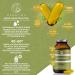 Qidosha Hemp Seed Oil Capsules - High Dose 2000mg Daily 180 pcs Cold-Pressed Omega 3 6 9 1000mg per Capsule - Premium Quality - Buy Online on GoSupps.com