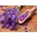 Greenendoor Lavender Bathing Chocolates - Handmade Natural Cosmetics Gift Set with Organic Cocoa Butter | Perfect Birthday Present - Buy Online on GoSupps.com