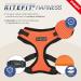 Puppia Ritefit Dog Harness for Small to Medium Dogs - Adjustable Soft & Versatile - Camouflage Design for Comfort & Style - Buy Online on GoSupps.com