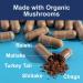 Carlson - Mushroom Complex Organic Blend with Turkey Tail Reishi Maitake Shiitake Chaga Non-GMO 50 Vegetarian Capsules 50 Count (Pack of 1) - Buy Online on GoSupps.com
