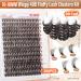 Buy Wispy Lash Clusters 40D - 10-18MM Fluffy Eyelash Extensions | Natural DD Curl by Pleell - International Shipping Available - Buy Online on GoSupps.com