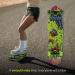 Tony Hawk 31 Complete Cruiser Skateboard | 9-Ply Maple Deck for Cruising, Carving, Tricks, and Downhill | Slime Hawk Design - Buy Online on GoSupps.com