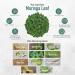 FUTURE SALAD High-Fiber Drink Mix 5 Salads in One Moringa & Superfood Blend Vegan Nutrient-Rich 2 Packets 1 Ounce (Pack of 1) - Buy Online on GoSupps.com