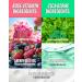 MAXCLINIC K-Beauty Rose Vitamin + Cica Biome Foam Gift Set | Daily Face Wash Oil Based Cleanser to Foam | Korean Skin Care Oil Cleanser for Dry Sensitive Skin - Buy Online on GoSupps.com