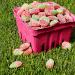 SOUR PATCH Kids Strawberry Soft & Chewy Candy - 340g Bag | International Shipping Available - Buy Online on GoSupps.com