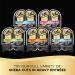 Sheba Perfect Portions Cuts in Gravy Wet Cat Food Trays Original Chicken 2.6 oz (Pack of 24) - Buy Online on GoSupps.com