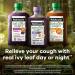 Robitussin Naturals Cough + Sleep Supplement - 6.6 Oz Bottle - Buy Online on GoSupps.com