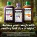 Children's Robitussin Naturals Cough + Sleep Supplement - 6.6 Oz Syrup - Buy Online on GoSupps.com