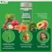 New Nature Super Greens Gummies Supplement with Fruit & Vegetable Powders Chlorella & Bacillus Coagulans 60 Gummies with Lemon & Orange Flavor Without Gelatin - Buy Online on GoSupps.com