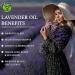 15ML Lavender Essential Oil - 100% Natural, Organic & Therapeutic Grade for Hair, Skin, Bath | Undiluted & Cruelty-Free - Buy Online on GoSupps.com