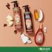 Garnier Whole Blends Coconut Oil & Cocoa Butter Taming Shampoo and Conditioner Set - Sulfate Free Remedy for Very Frizzy Hair - 12 Fl Oz Kit - Buy Online on GoSupps.com
